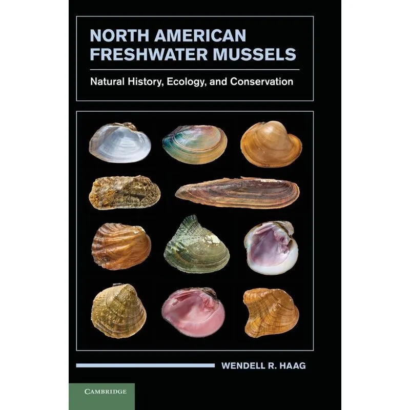 North American Freshwater Mussels