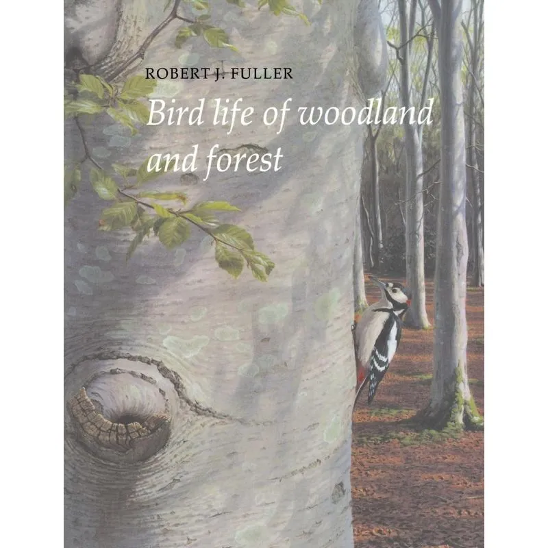 Bird Life of Woodland and Forest