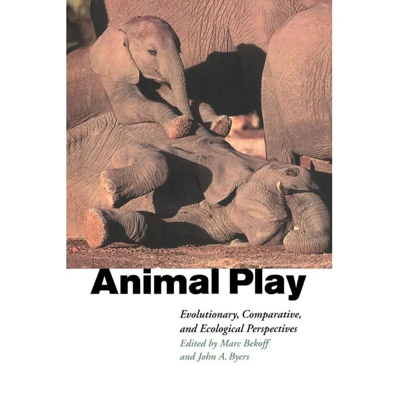 Animal Play