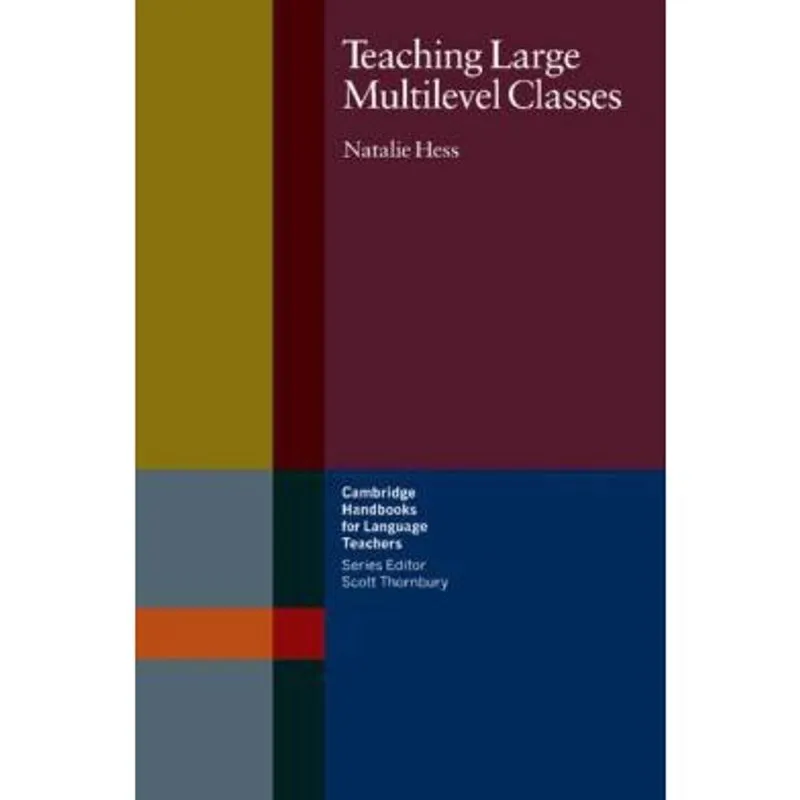 Teaching large multilevel classes