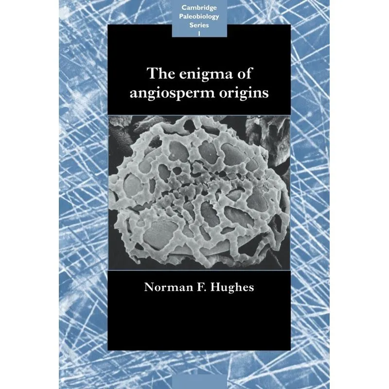 The Enigma of Angiosperm Origins