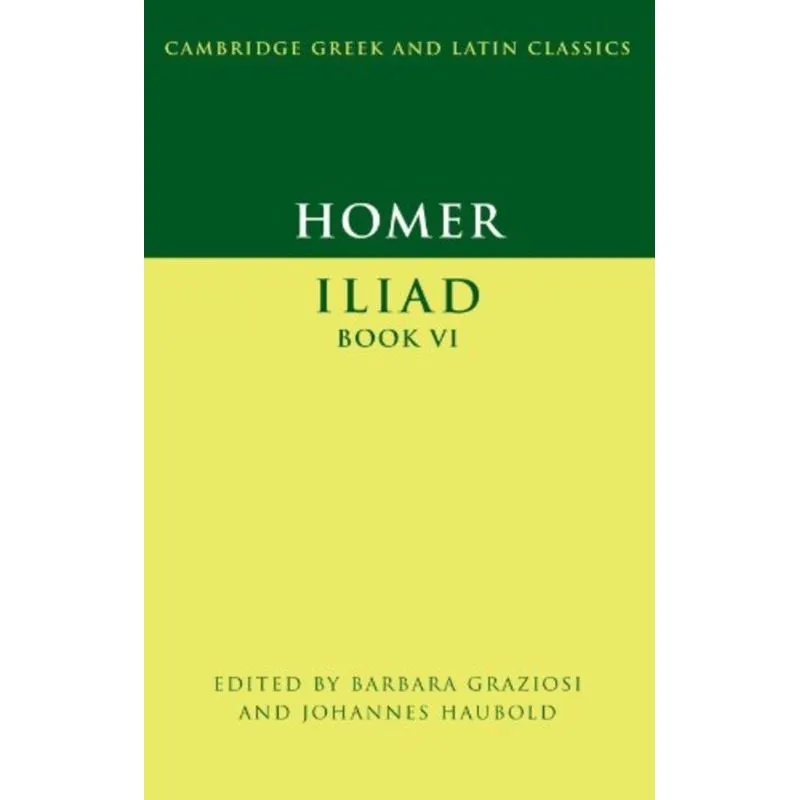 HOMER ILIAD BOOK VI