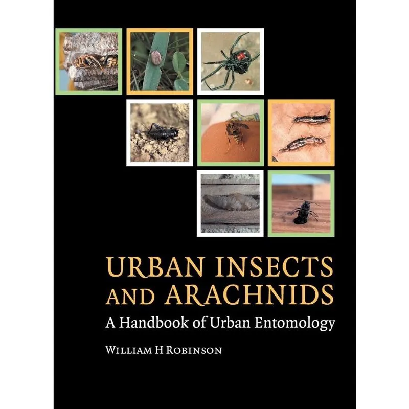 Urban Insects and Arachnids