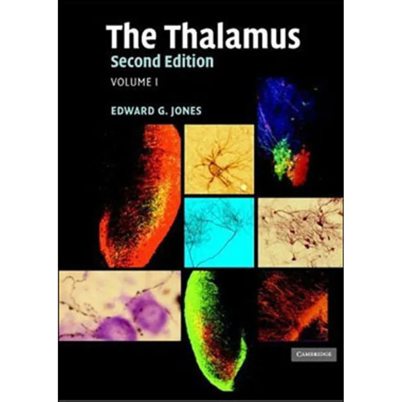 THALAMUS, THE - VOL. 2