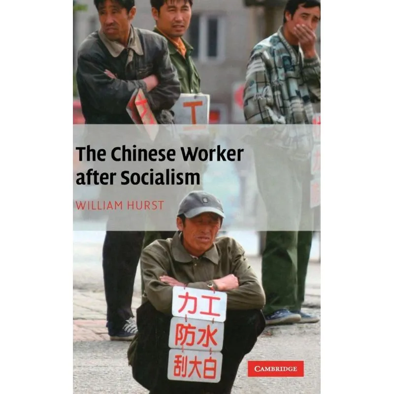 The Chinese Worker after Socialism