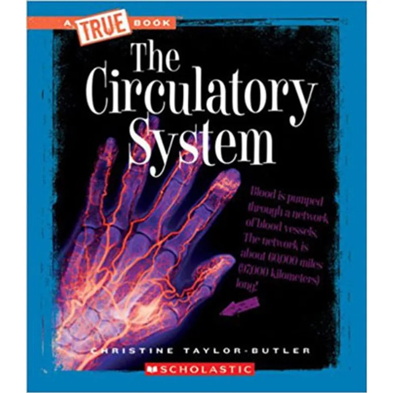 CIRCULATORY SYSTEM, THE