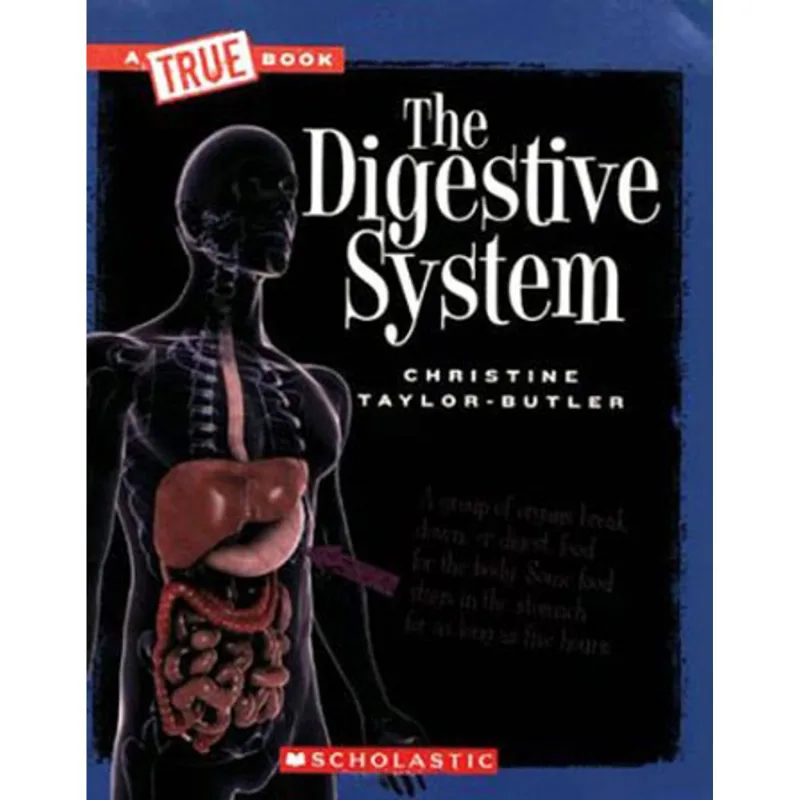 DIGESTIVE SYSTEM, THE