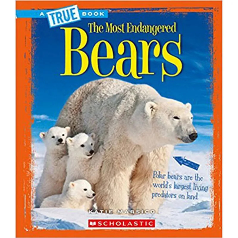 BEARS