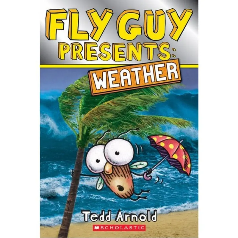 FLY GUY PRESENTS - WEATHER
