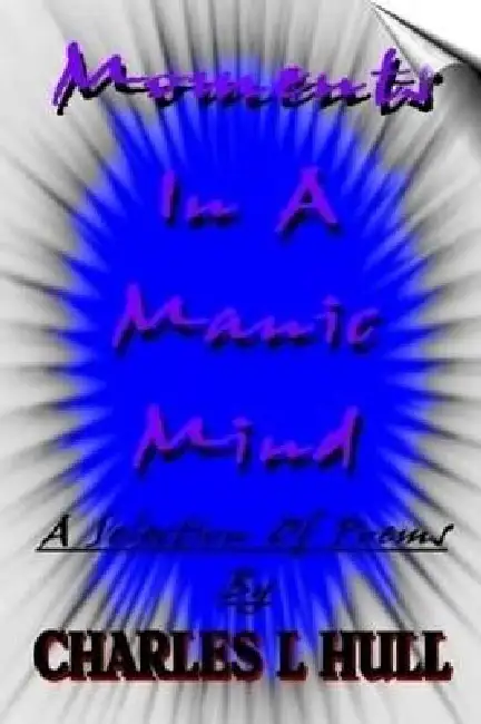 Moments In A Manic Mind Paperback