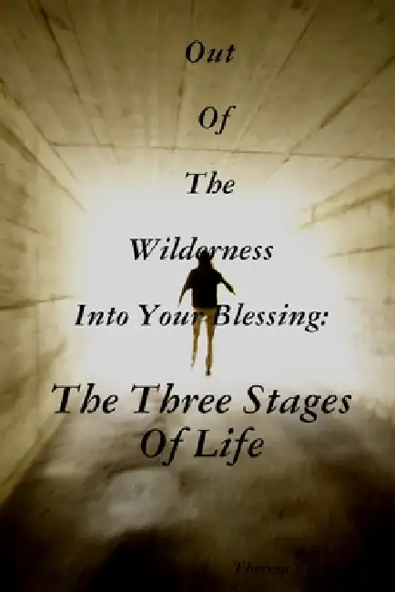 Out Of The Wilderness Into Your Blessing: The Three Stages Of Life Paperback