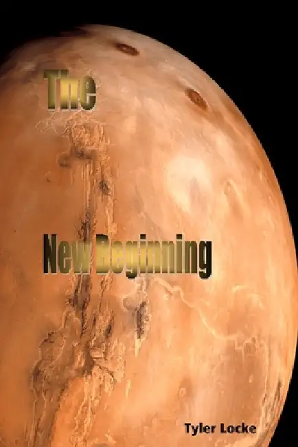 The New Beginning Paperback