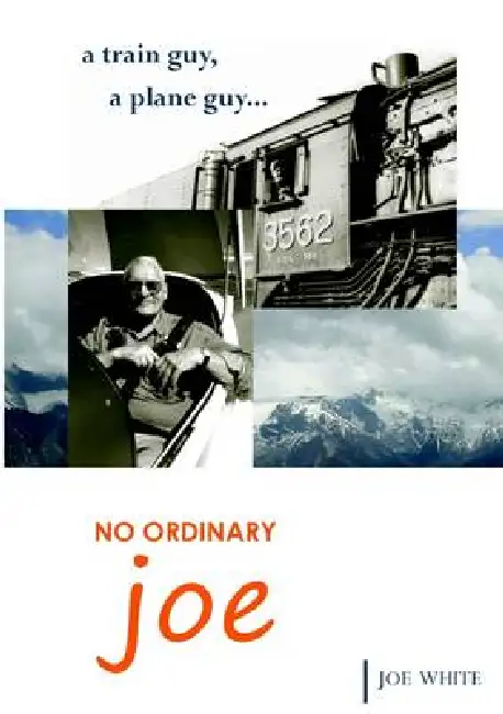 No Ordinary Joe Paperback