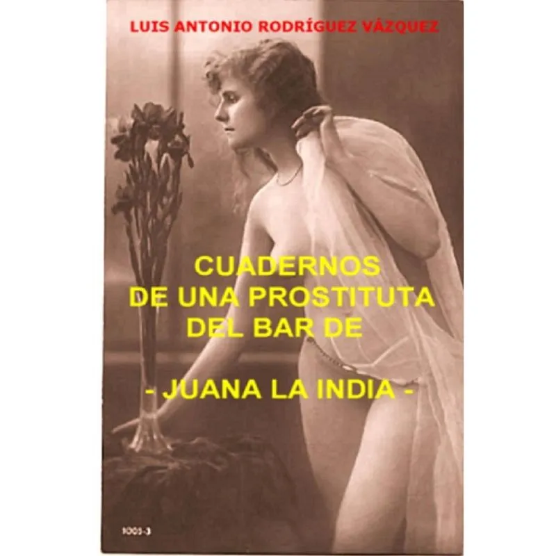 Cuadernos de una prostituta del bar de Juana la india