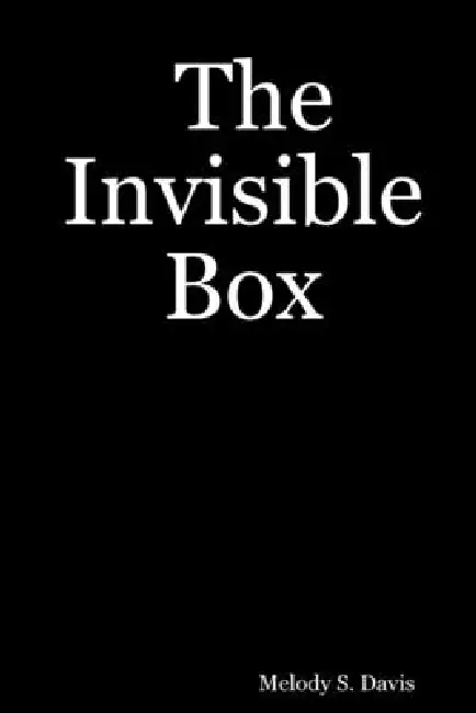 The Invisible Box Paperback