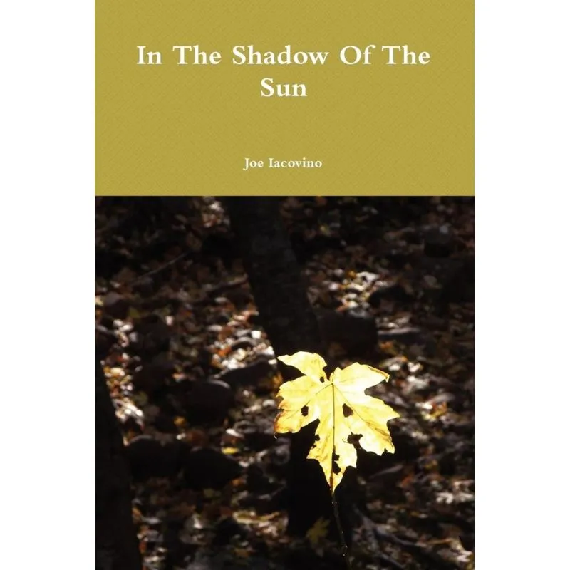 In The Shadow Of The Sun