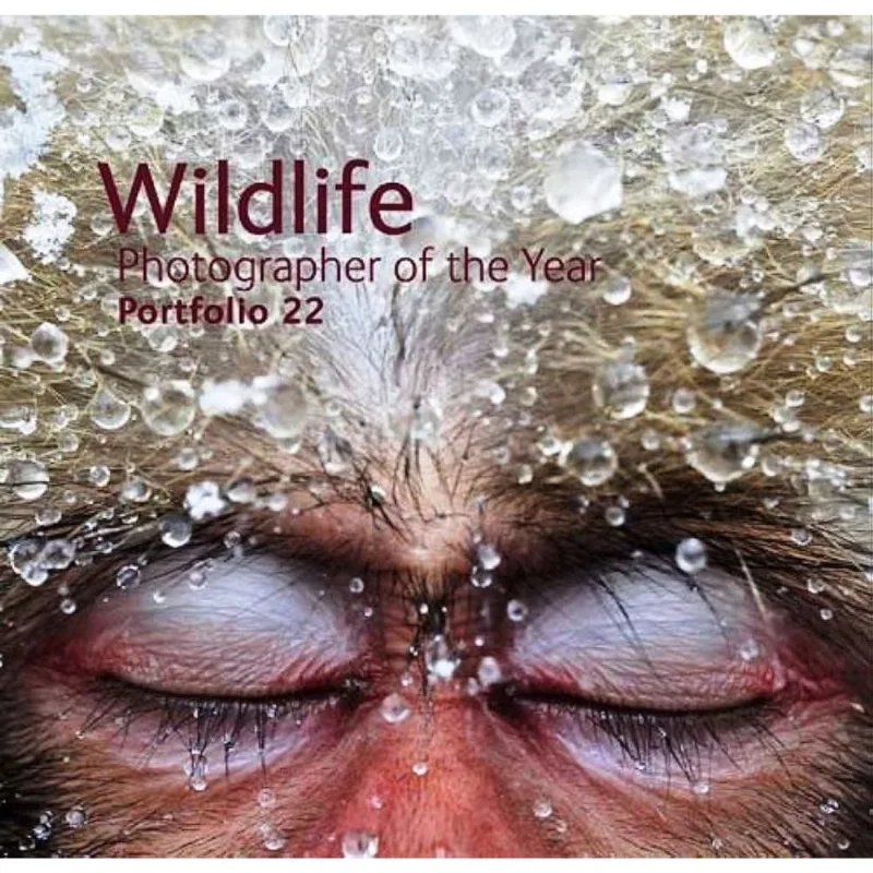 Wildlife photographer of the year: Portfolio 22