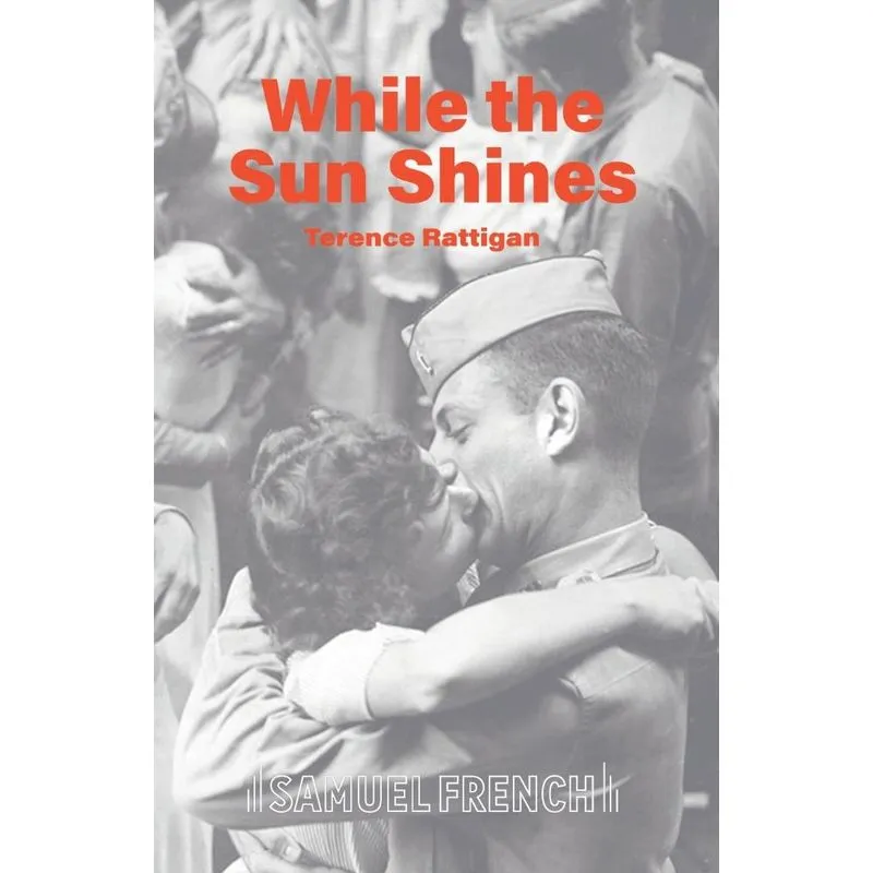 While The Sun Shines