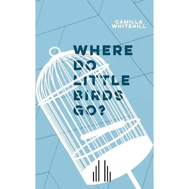 Where Do Little Birds Go?