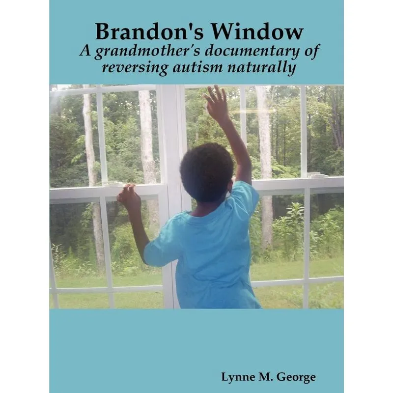 Brandons Window