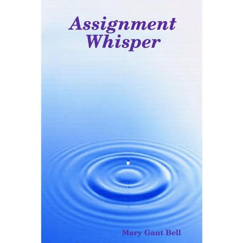 Assignment Whisper