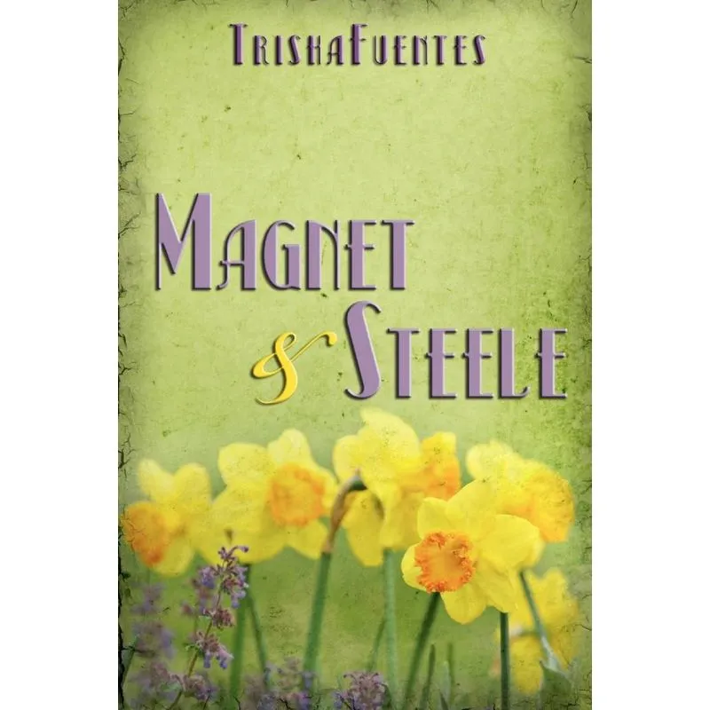 Magnet & Steele