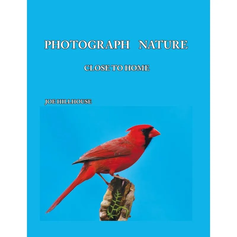 Photograph Nature