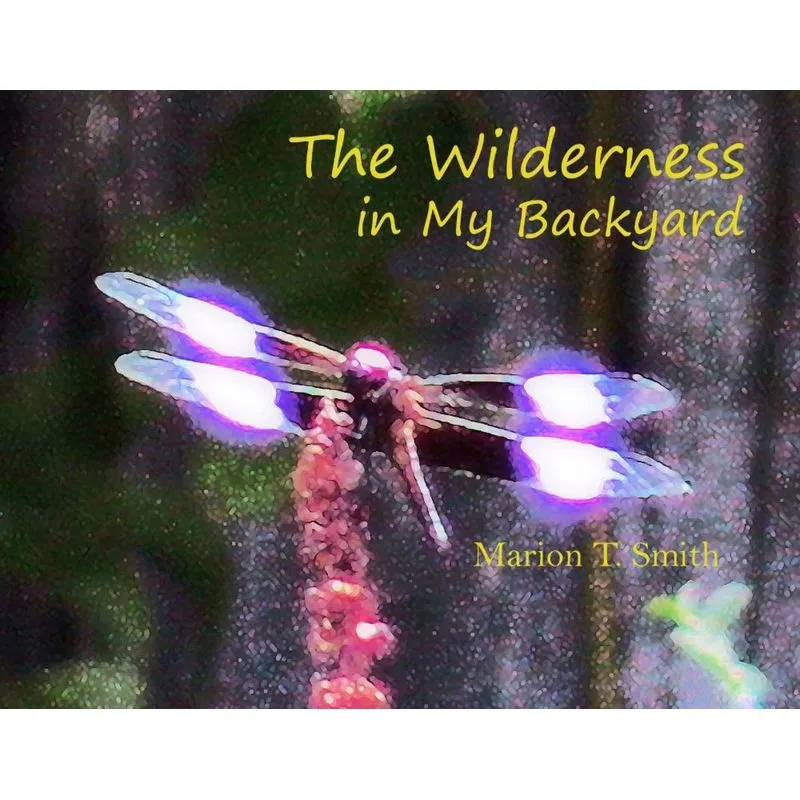 The Wilderness in My Backyard