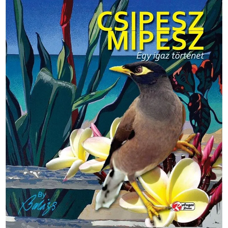 CSIPESZ MIPESZ