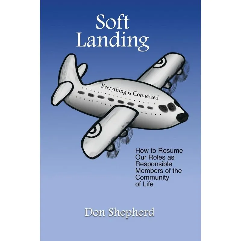 Soft Landing