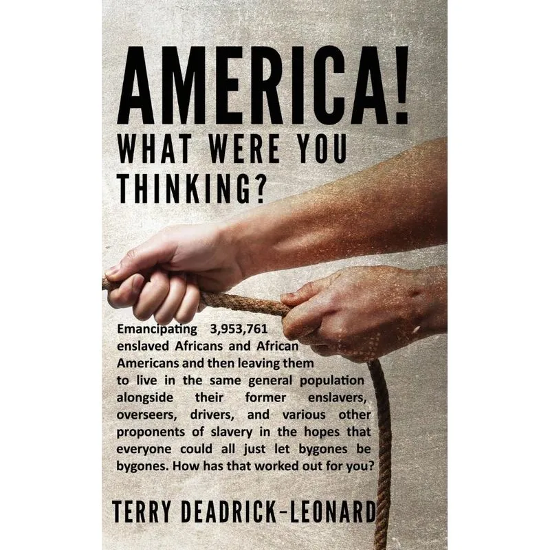 America! What Were You Thinking?
