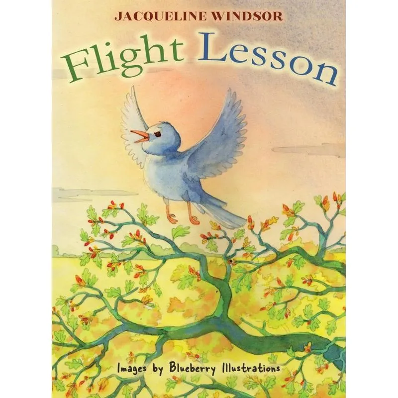 Flight Lesson