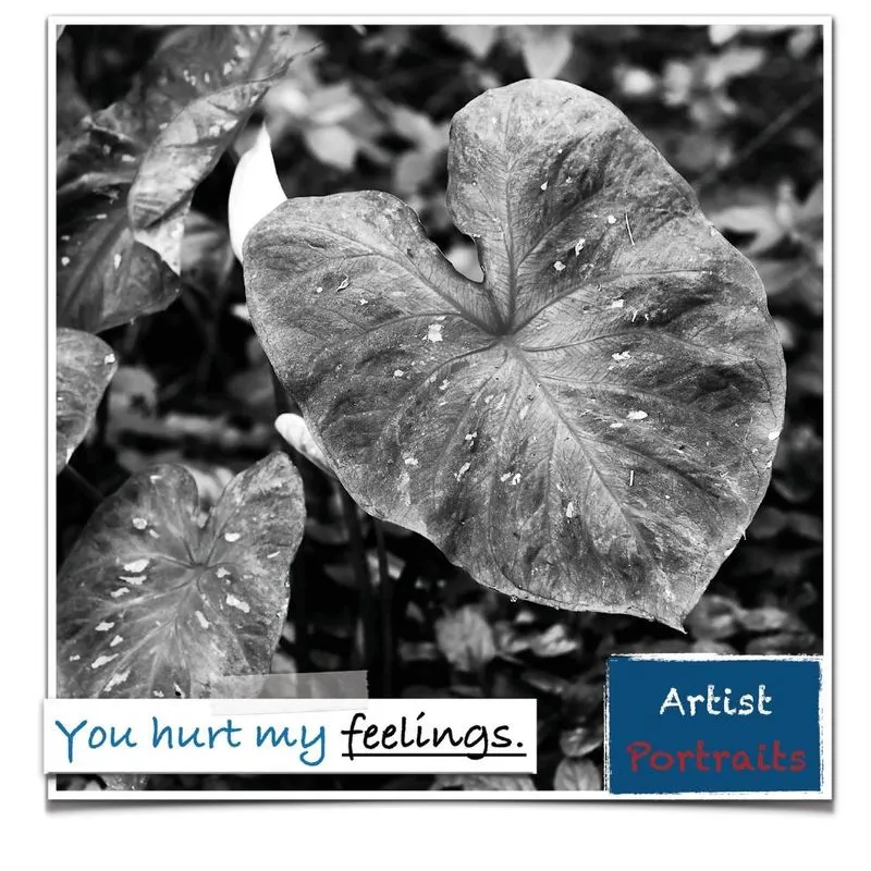 You hurt my feelings.