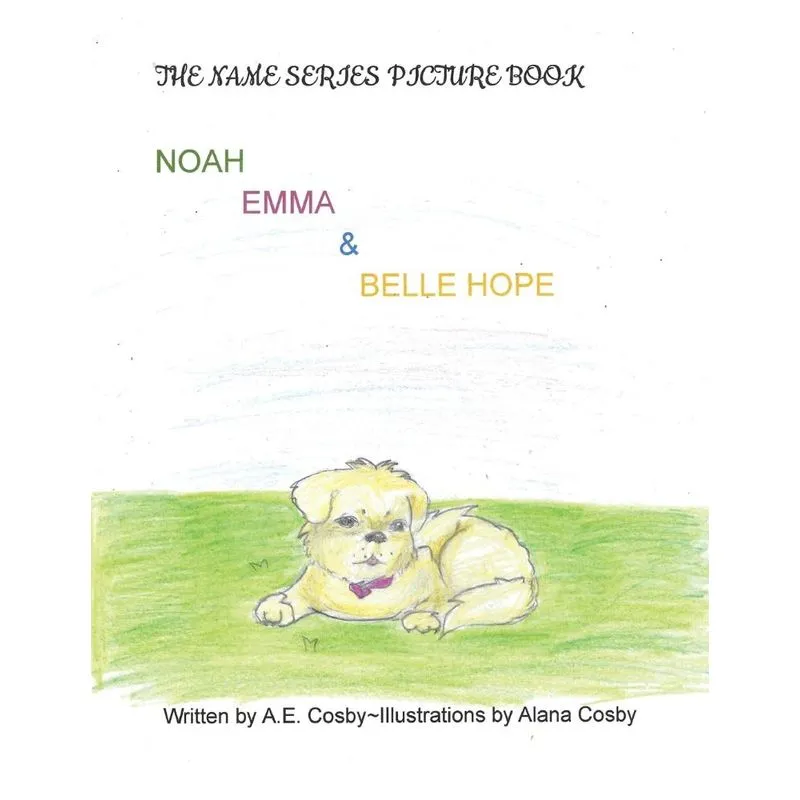 The Name Series Picture Book