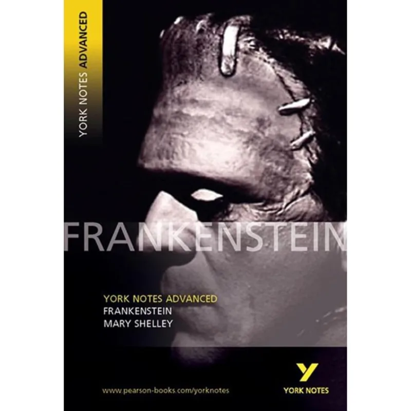 FRANKENSTEIN - YORK NOTES ADVANCED