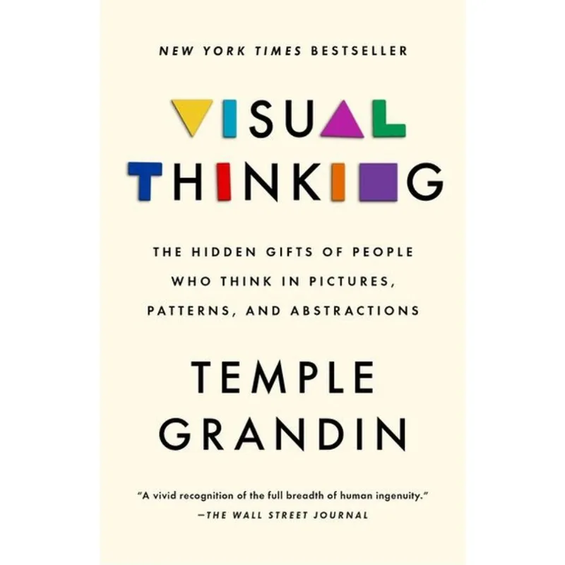 VISUAL THINKING