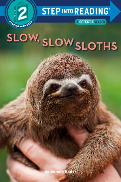 Slow, Slow Sloths STANDARD