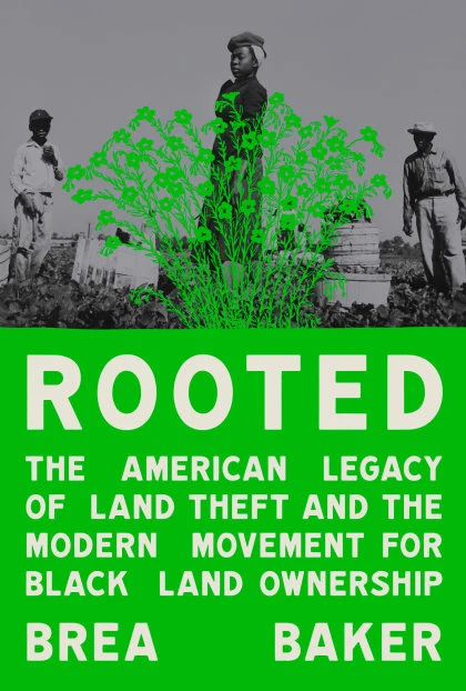 Rooted STANDARD