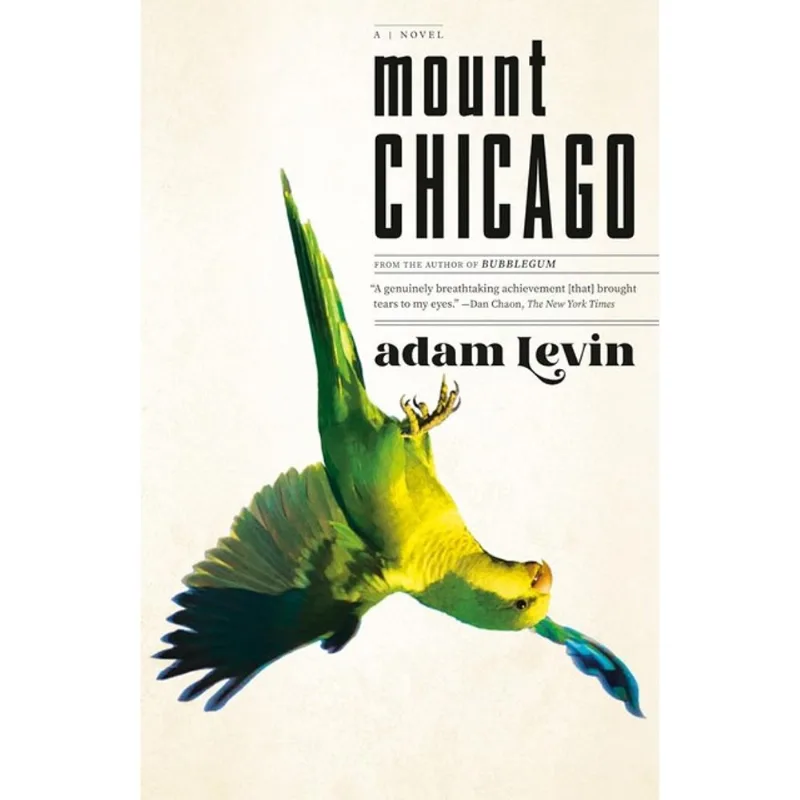 MOUNT CHICAGO