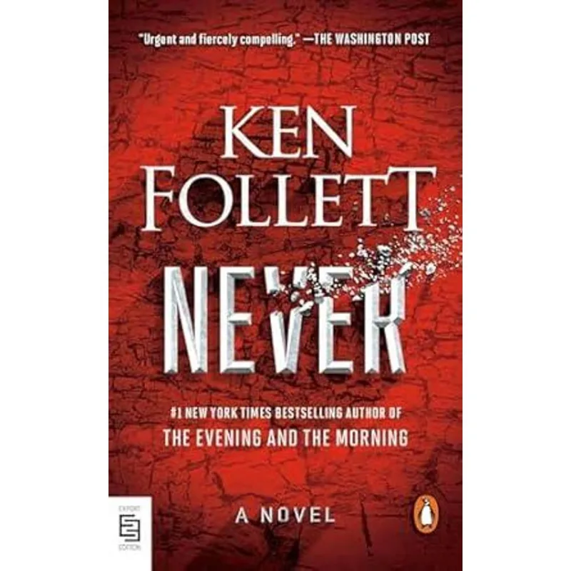Never - a Novel
