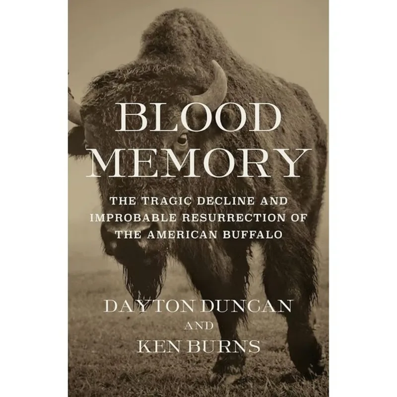 BLOOD MEMORY