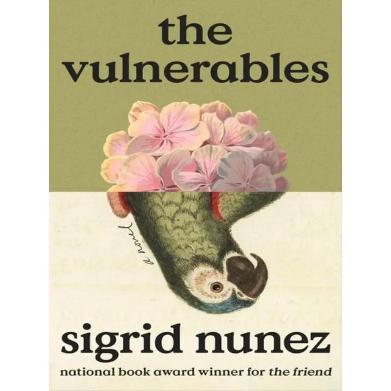 THE VULNERABLES