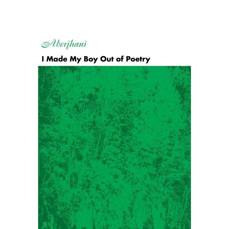 I Made My Boy Out of Poetry