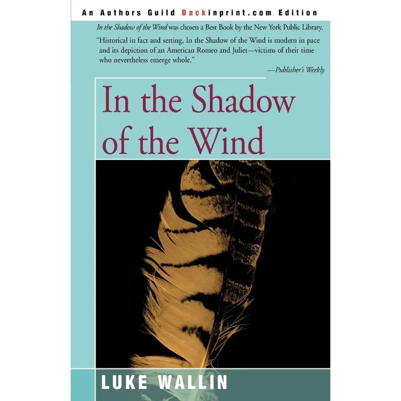 In the Shadow of the Wind