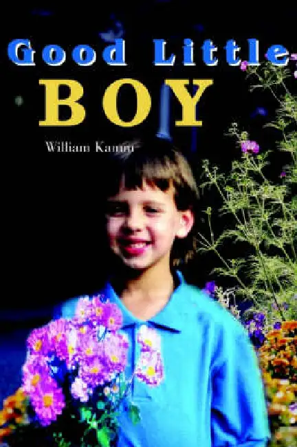 Good Little Boy Paperback
