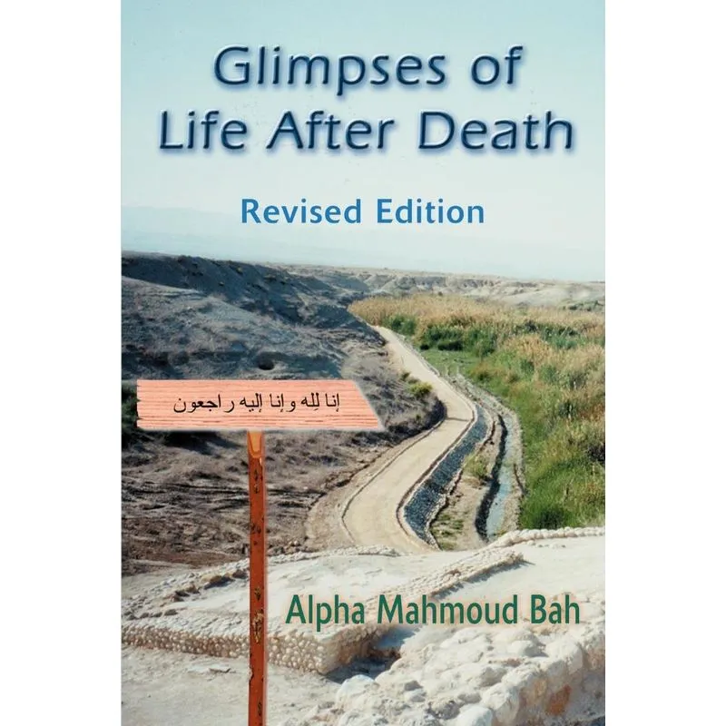 Glimpses of Life After Death