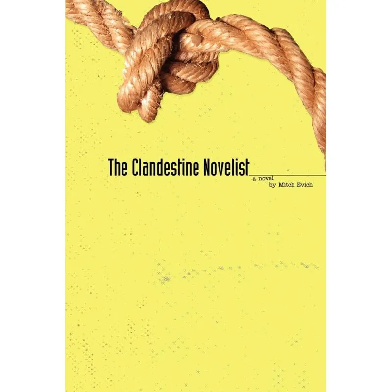 The Clandestine Novelist