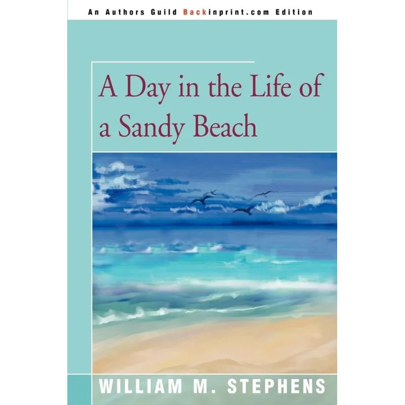 A Day in the Life of a Sandy Beach