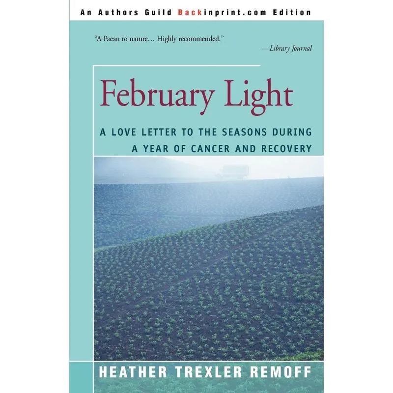February Light