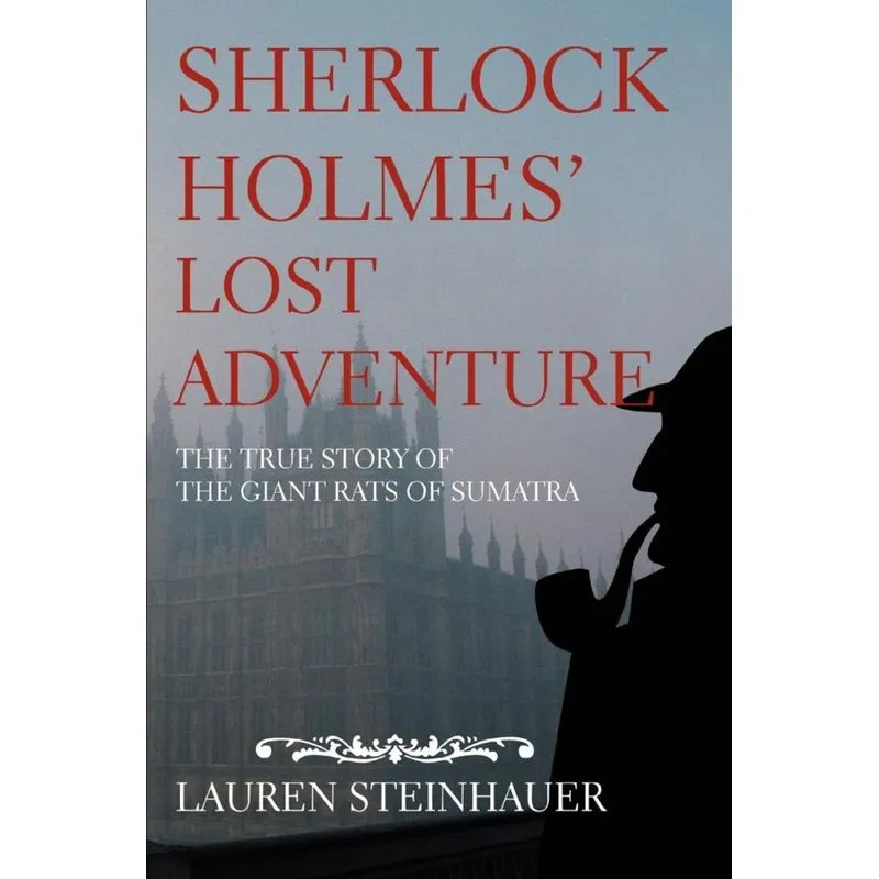 Sherlock Holmes Lost Adventure